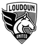 Soccer leagues of Loudoun United FC W