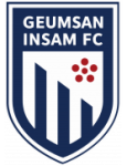 Soccer leagues of Geumsan Insam