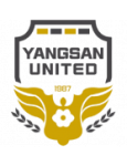 Soccer leagues of Yangsan United