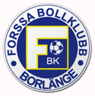 Soccer leagues of Forssa
